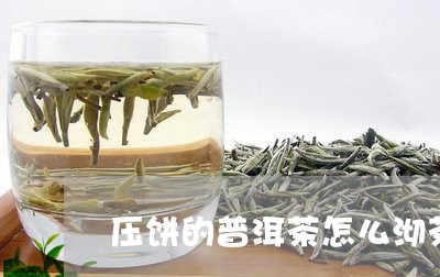 压饼的普洱茶怎么沏茶/2023062003837