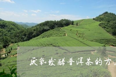 厌氧发酵普洱茶的方法/2023080215069