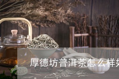 厚德坊普洱茶怎么样好喝吗/2023121585049