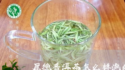 厚德普洱茶怎么样泡的好/2023102471706