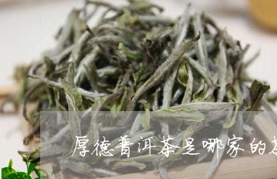 厚德普洱茶是哪家的茶/2023082940605