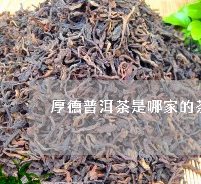 厚德普洱茶是哪家的茶/2023110503025