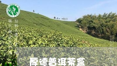 厚德普洱茶盒/2023042703320