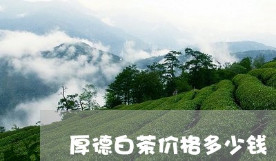 厚德白茶价格多少钱/2023121734250