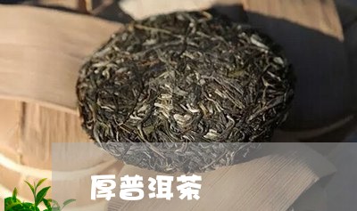 厚普洱茶/2023110828395