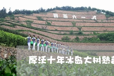 厚沃十年冰岛大树熟普洱茶/2023110251502