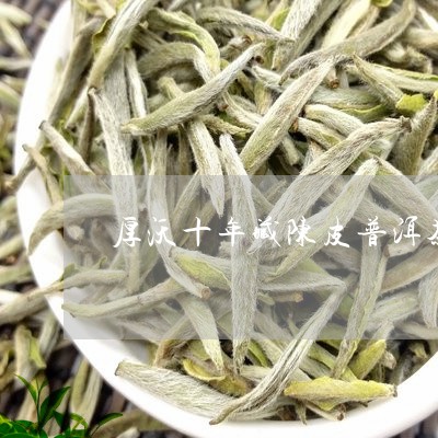 厚沃十年藏陈皮普洱茶/2023092653735