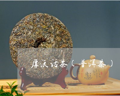 厚沃话茶(普洱茶)/2023070990515