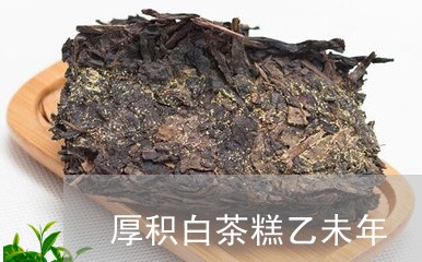 厚积白茶糕乙未年/2023061618381