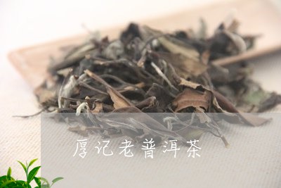 厚记老普洱茶/2023081539502