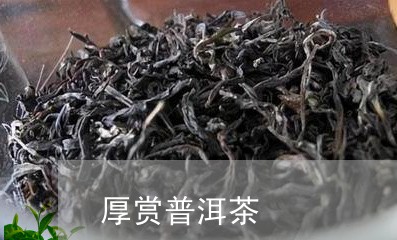 厚赏普洱茶/2023102562503