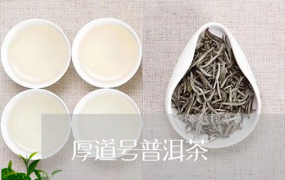 厚道号普洱茶/2023042644057