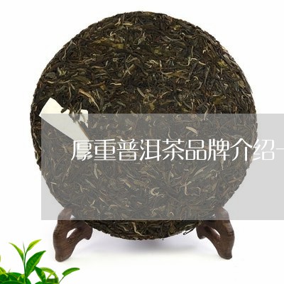 厚重普洱茶品牌介绍一下/2023050516139