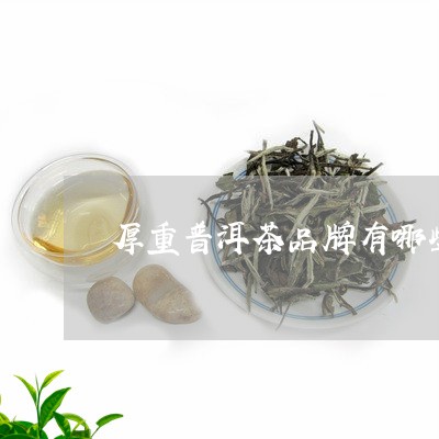 厚重普洱茶品牌有哪些好/2023082986157