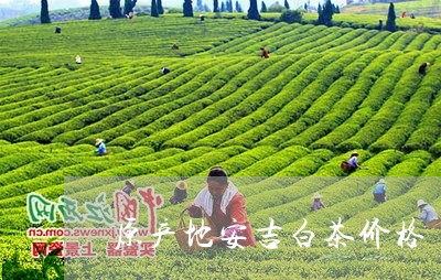 原产地安吉白茶价格/2023121739272