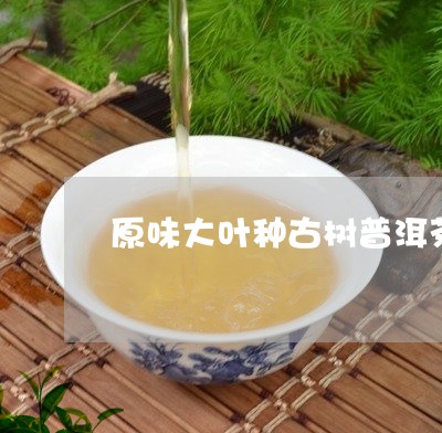 原味大叶种古树普洱茶/2023092707170