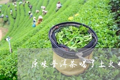 原味普洱茶喝了上火吗/2023062386058