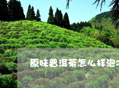 原味普洱茶怎么样泡才好喝/2023082928462