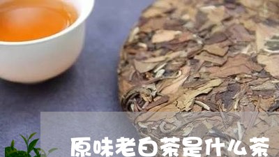 原味老白茶是什么茶/2023071584959