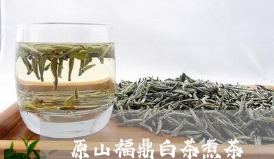 原山福鼎白茶煮茶/2023061637369