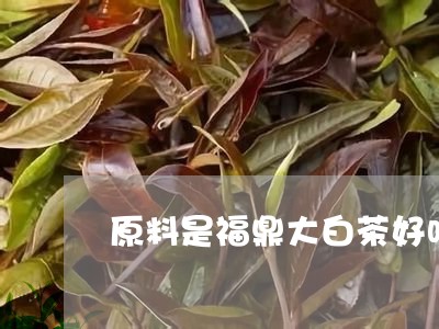 原料是福鼎大白茶好吗/2023091546082