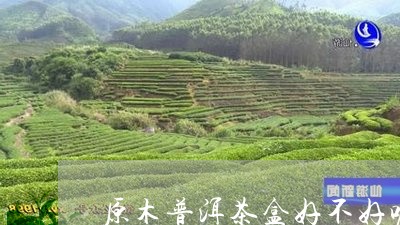 原木普洱茶盒好不好呢视频/2023112598168