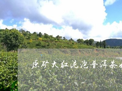 原矿大红泥泡普洱茶好吗/2023110180795