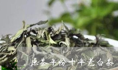 原茶年份十年老白茶/2023071532804