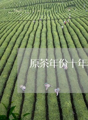 原茶年份十年老白茶/2023081384835