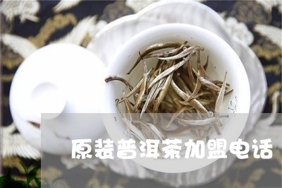 原装普洱茶加盟电话/2023042817462