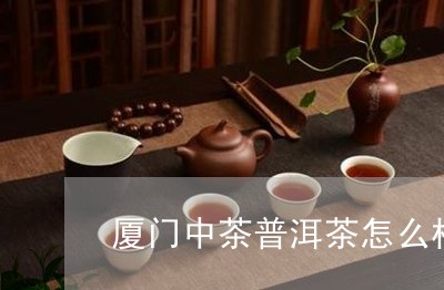 厦门中茶普洱茶怎么样/2023082939602