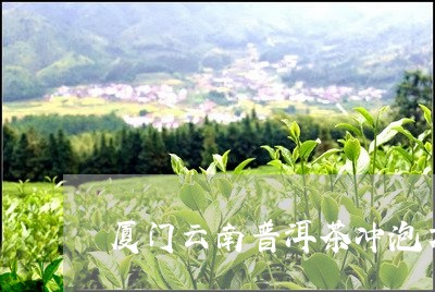 厦门云南普洱茶冲泡方法/2023082916369