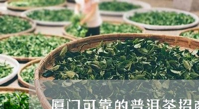 厦门可靠的普洱茶招商/2023061445148