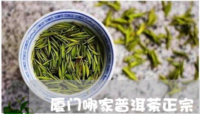 厦门哪家普洱茶正宗/2023082923826