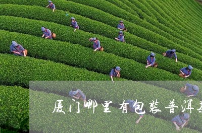 厦门哪里有包装普洱茶/2023100800393