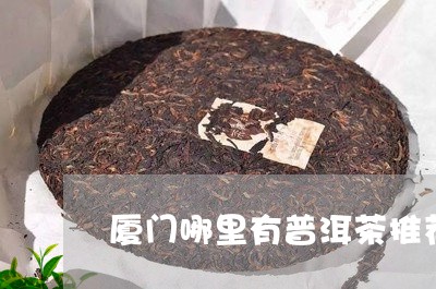 厦门哪里有普洱茶推荐的/2023102437160