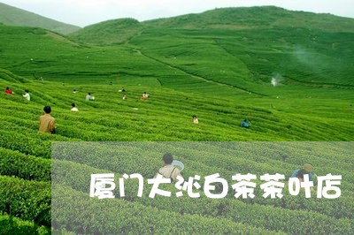 厦门大沁白茶茶叶店/2023071571615