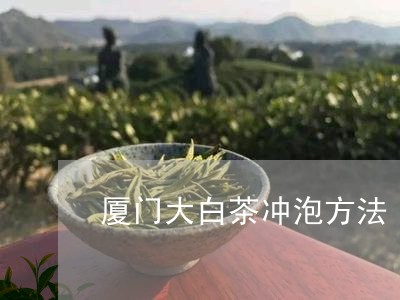 厦门大白茶冲泡方法/2023071595261