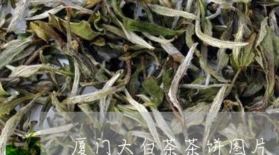 厦门大白茶茶饼图片/2023071559684