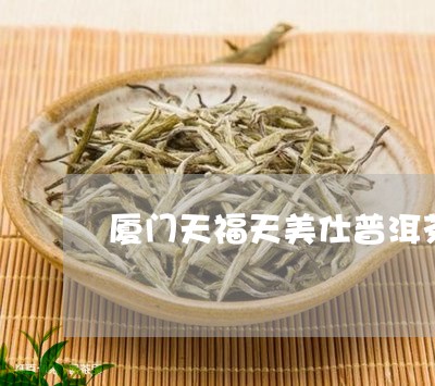 厦门天福天美仕普洱茶/2023092723727