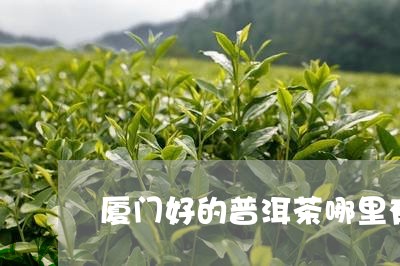 厦门好的普洱茶哪里有卖/2023102529502