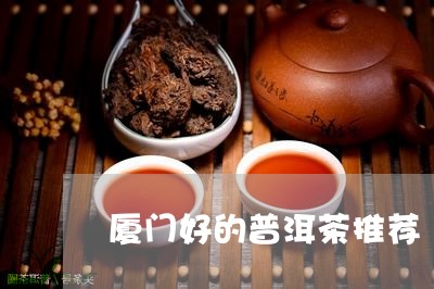 厦门好的普洱茶推荐/2023121502925