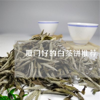 厦门好的白茶饼推荐/2023121705168