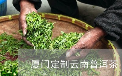 厦门定制云南普洱茶/2023110370504