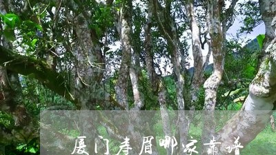 厦门寿眉哪家靠谱/2023061648504