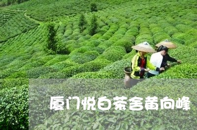 厦门悦白茶舍黄向峰/2023081337369