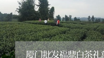 厦门批发福鼎白茶礼盒/2023120727613