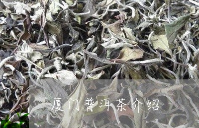 厦门普洱茶介绍/2023121589682