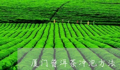 厦门普洱茶冲泡方法/2023121558705