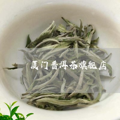 厦门普洱茶旗舰店/2023082901606